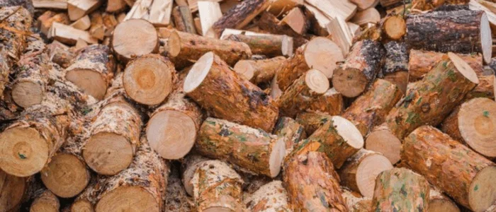 Benefits of Stump Grinding Arvada
