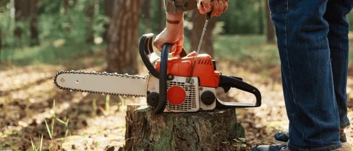 Benefits of Tree Removal Arvada
